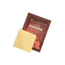 KytoStat - Hemostatic Dressing (single sachet)