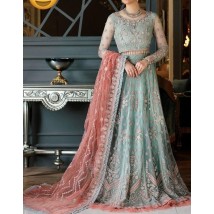 Light Colour Full heavy net embroidery Frock style dress