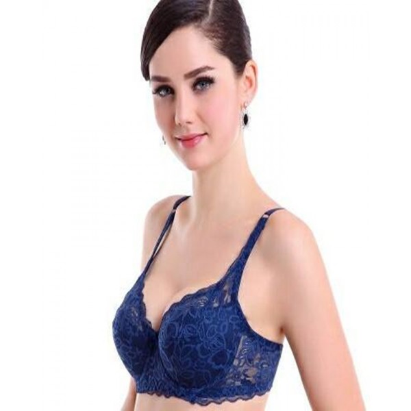 Imported Pushup Net Bra in different Colors 